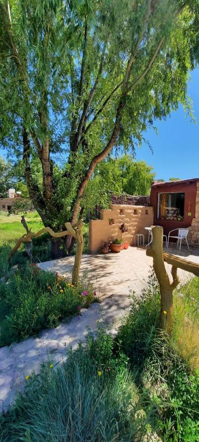 Cabana El Cardon,Casita En El Campo Quebradeno Humahuaca Exterior photo
