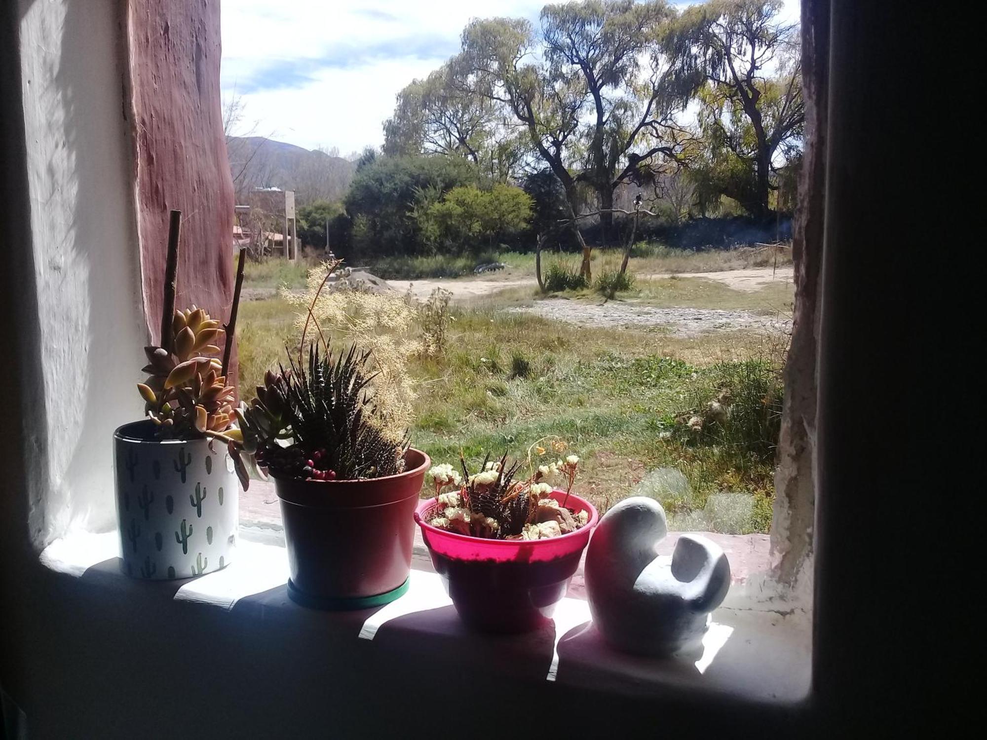 Cabana El Cardon,Casita En El Campo Quebradeno Humahuaca Exterior photo