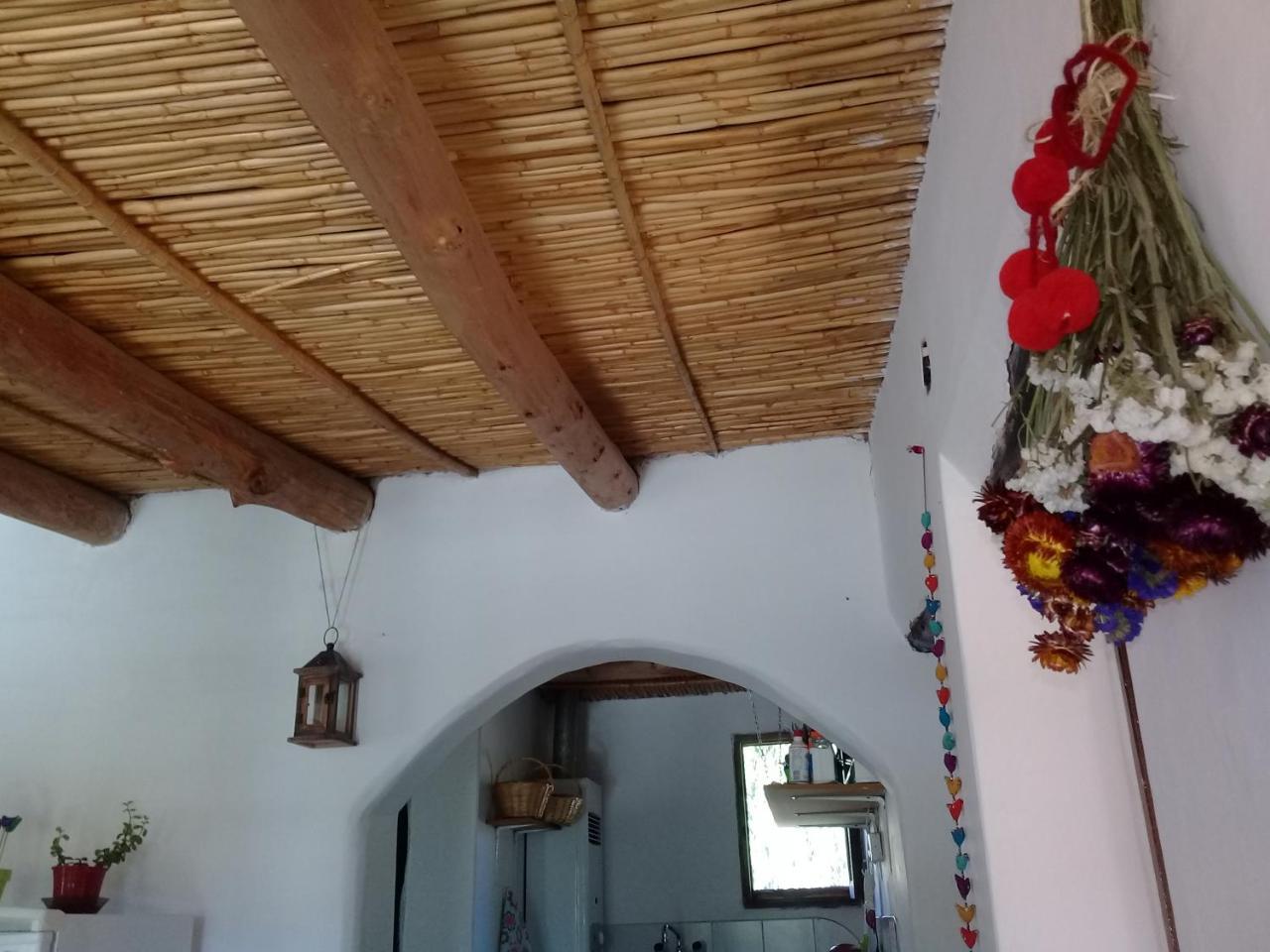 Cabana El Cardon,Casita En El Campo Quebradeno Humahuaca Exterior photo